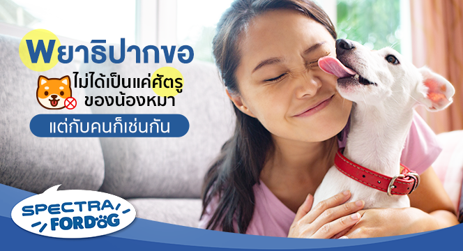 พยาธิปากขอ ไม่ได้เป็นแค่ศัตรูของน้องหมา แต่กับคนก็เช่นกัน